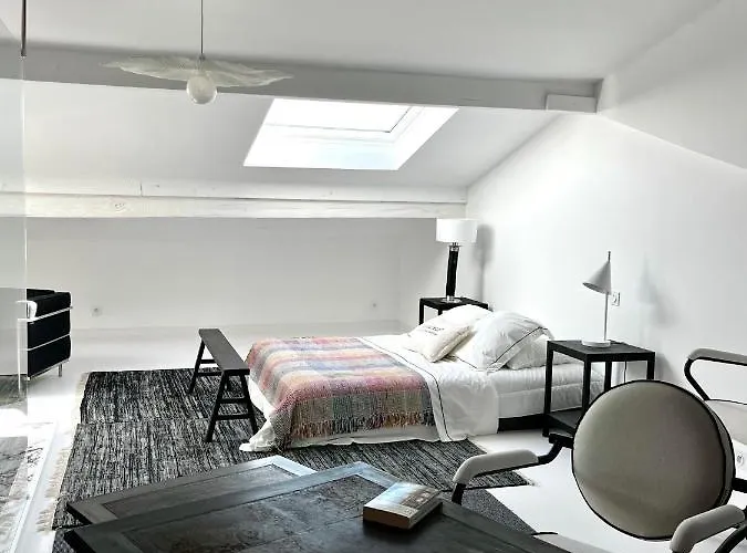 Tres Bel Appartement Type Loft Avec Terrasse, Quartier Saint-Augustin A Bordeaux